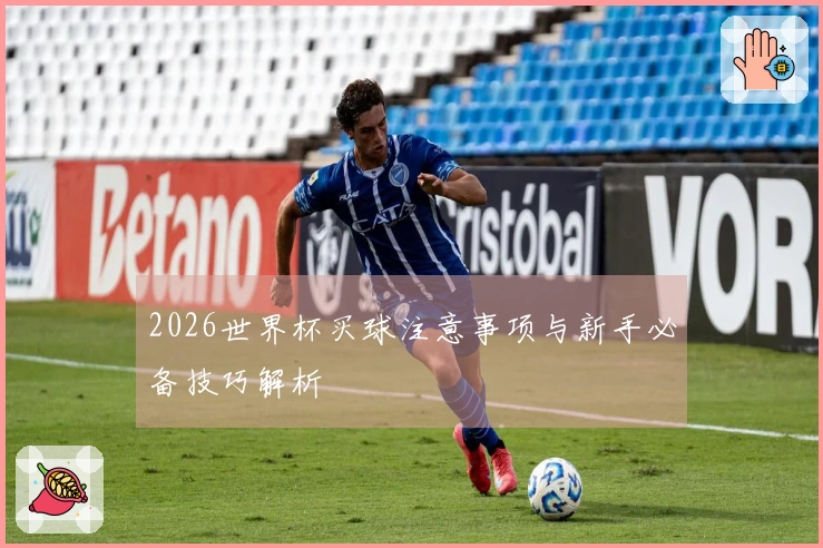 2026世界杯买球注意事项与新手必备技巧解析