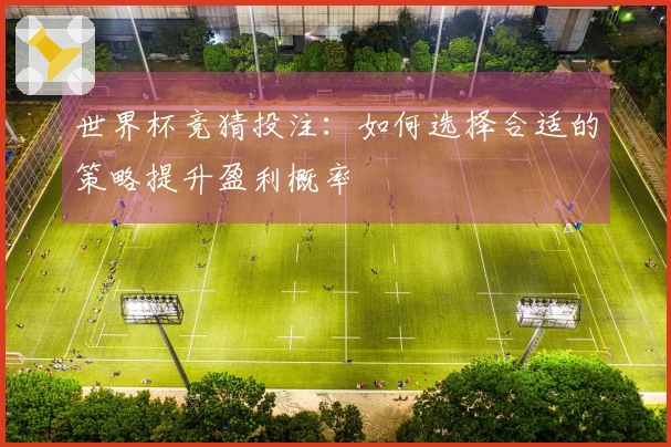 世界杯竞猜投注：如何选择合适的策略提升盈利概率