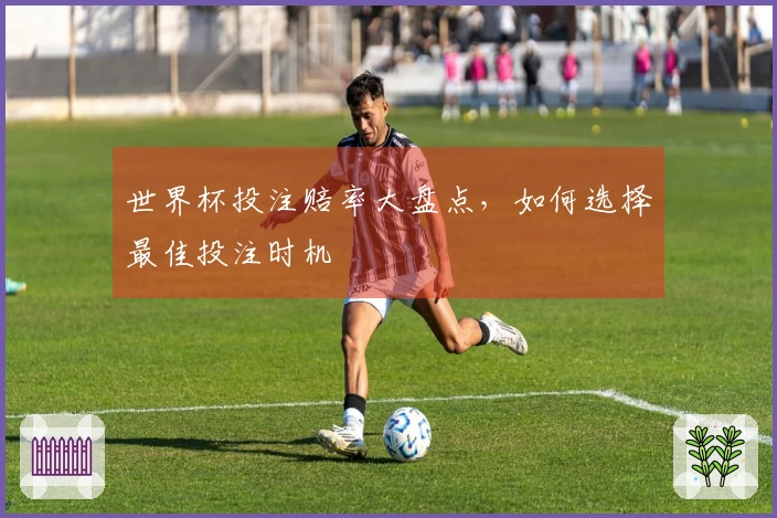 世界杯投注赔率大盘点，如何选择最佳投注时机