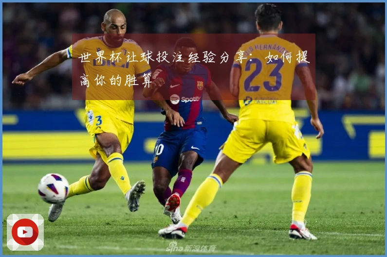 世界杯让球投注经验分享：如何提高你的胜算