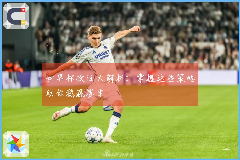 世界杯投注大解析：掌握这些策略助你稳赢赛季
