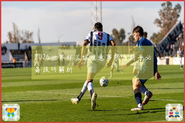 2026世界杯买球注意事项与新手必备技巧解析