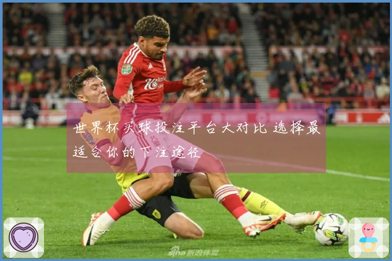 世界杯买球投注平台大对比 选择最适合你的下注途径