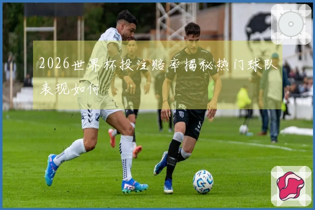 2026世界杯投注赔率揭秘热门球队表现如何
