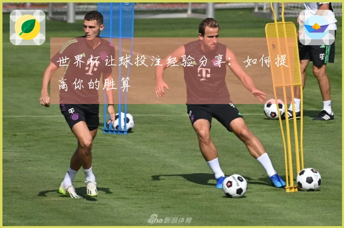 世界杯让球投注经验分享：如何提高你的胜算