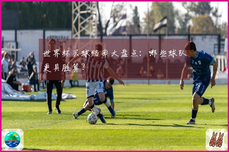 世界杯买球赔率大盘点：哪些球队更具胜算？
