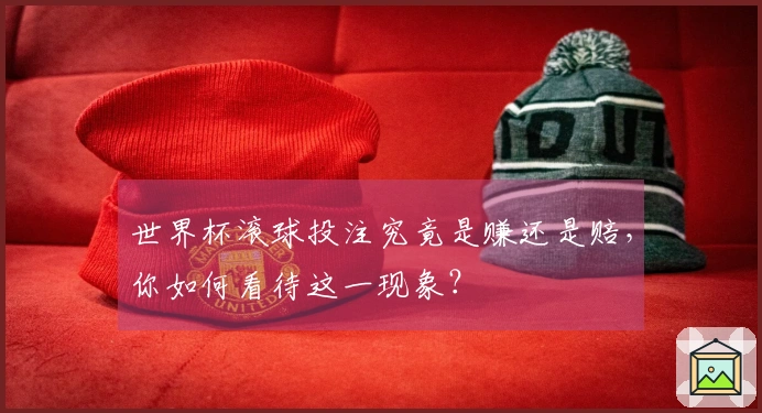 世界杯滚球投注究竟是赚还是赔，你如何看待这一现象？