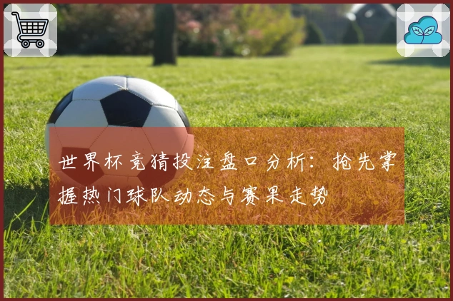 世界杯竞猜投注盘口分析：抢先掌握热门球队动态与赛果走势