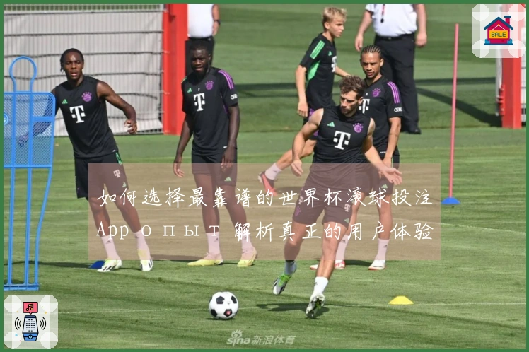 如何选择最靠谱的世界杯滚球投注App опыт 解析真正的用户体验