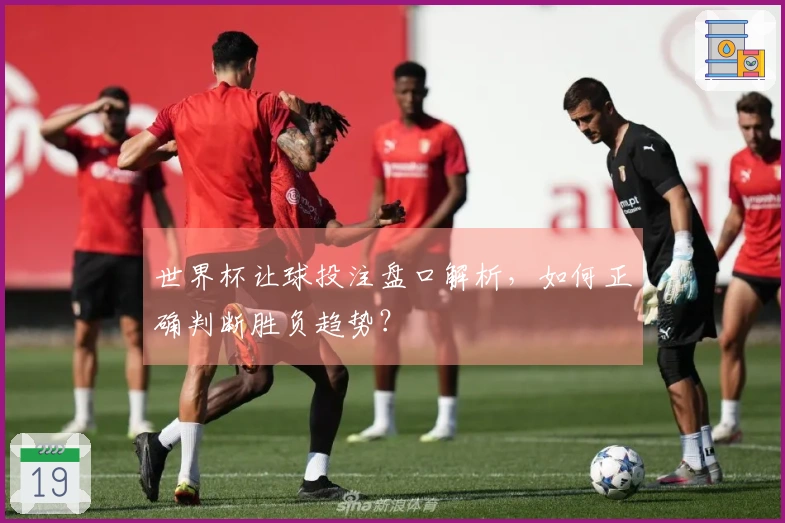 世界杯让球投注盘口解析，如何正确判断胜负趋势？
